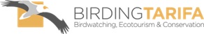 Birding Tarifa